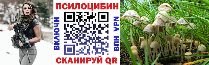 закладка  маркетплейс какой сайт  Галлюциногенные грибы Magic Shrooms  Петухово  OMG ССЫЛКА 